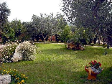 Villa in Cisternino (Brindisi) or holiday homes and vacation rentals