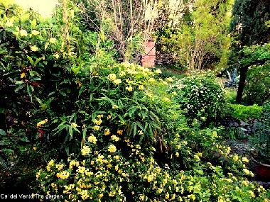 Holiday Apartment in Arcugnano (Vicenza) or holiday homes and vacation rentals