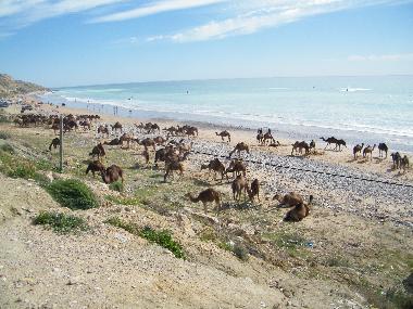 Holiday House in tamraght (Agadir) or holiday homes and vacation rentals