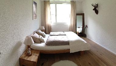 Holiday Apartment in Andermatt (Andermatt) or holiday homes and vacation rentals