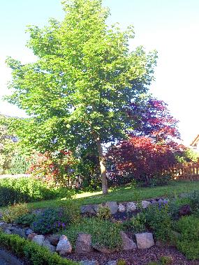 Holiday Apartment in Vohenstrau (Upper Palatinate) or holiday homes and vacation rentals
