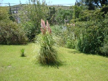 Holiday House in Tanti (Cordoba) or holiday homes and vacation rentals