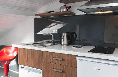 Holiday Apartment in İstanbul (Istanbul) or holiday homes and vacation rentals