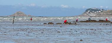 Holiday Apartment in planguenoual (C�tes-d