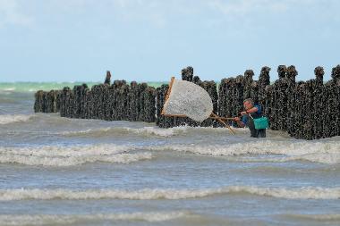 Holiday Apartment in planguenoual (C�tes-d