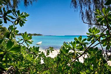 Holiday House in Pointe aux Canonniers (Grand Baie) or holiday homes and vacation rentals