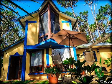 Holiday House in Punta del este (Maldonado) or holiday homes and vacation rentals