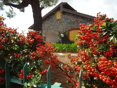 the house