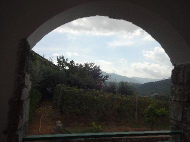 wiew from the covered terrace