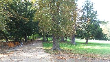 Holiday Apartment in Berlin Pankow (Pankow) or holiday homes and vacation rentals