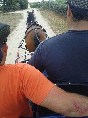 Holiday House in Palmela (Pen�nsula de Set�bal) or holiday homes and vacation rentals