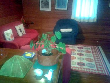 Holiday House in Palmela (Pen�nsula de Set�bal) or holiday homes and vacation rentals