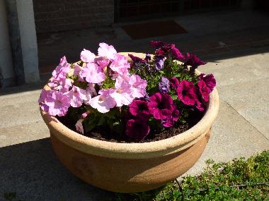 A garden full of charm.