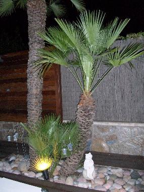 Chalet in cambrils (Tarragona) or holiday homes and vacation rentals