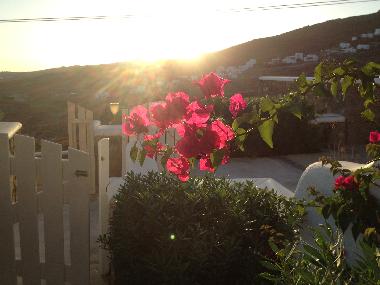 Holiday Apartment in mykonos (Kyklades) or holiday homes and vacation rentals