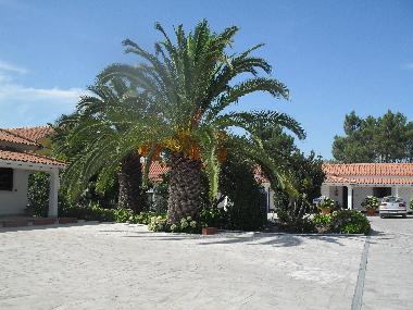 Bed and Breakfast in Fernao Ferro, Seixal (Pen�nsula de Set�bal) or holiday homes and vacation rentals