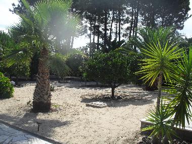 Bed and Breakfast in Fernao Ferro, Seixal (Pen�nsula de Set�bal) or holiday homes and vacation rentals