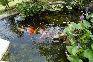 Holiday Apartment in Banjole-Medulin-Pula-Istrien-Kroatien (Istarska) or holiday homes and vacation rentals