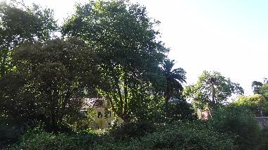 Holiday Apartment in Sintra (Grande Lisboa) or holiday homes and vacation rentals