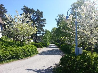 Holiday Apartment in Zingst (Fischland-Dar-Zingst) or holiday homes and vacation rentals
