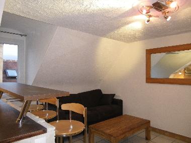 Holiday Apartment in dijon (C�te-d'Or) or holiday homes and vacation rentals