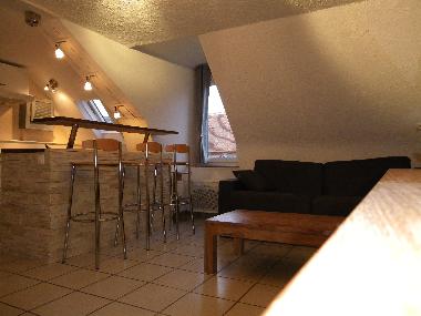 Holiday Apartment in dijon (C�te-d'Or) or holiday homes and vacation rentals