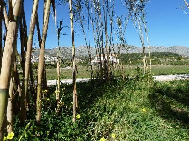 Holiday House in Beniarbeig (Alicante / Alacant) or holiday homes and vacation rentals