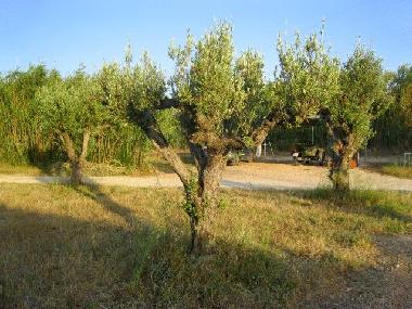 Holiday House in Beniarbeig (Alicante / Alacant) or holiday homes and vacation rentals