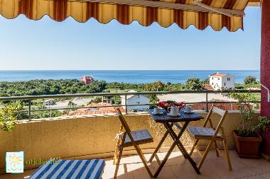 Holiday Apartment in Bar-Utjeha (Montenegro) or holiday homes and vacation rentals