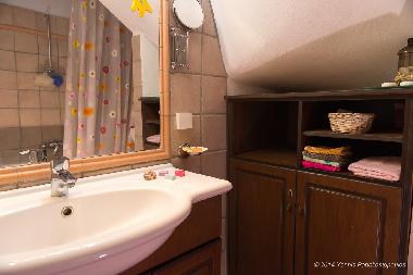 Big bathroom downstairs