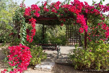 Holiday House in Ageranos (Lakonia) or holiday homes and vacation rentals