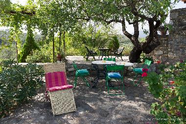 Another view of the garden