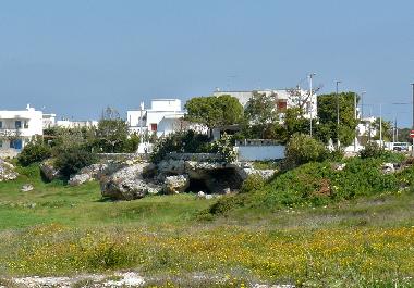 Villa in Carovigno (Brindisi) or holiday homes and vacation rentals
