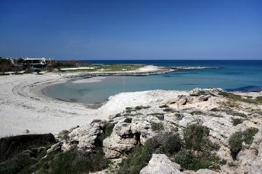 Villa in Carovigno (Brindisi) or holiday homes and vacation rentals