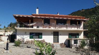 Holiday House in Aegio/Egio/Chatzi (Korinthia) or holiday homes and vacation rentals