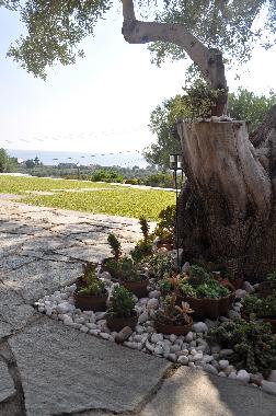 Holiday House in Nea Skioni (Chalkidiki) or holiday homes and vacation rentals