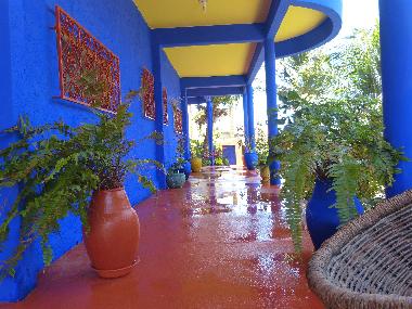 The terrace, downstairs