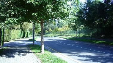 Holiday Apartment in  (Vizcaya) or holiday homes and vacation rentals