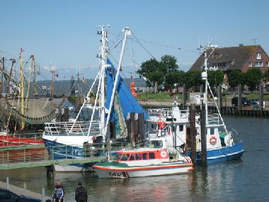 Holiday House in Butjadingen_Eckwarderhrne (Nordsee-Festland / Ostfriesland) or holiday homes and vacation rentals