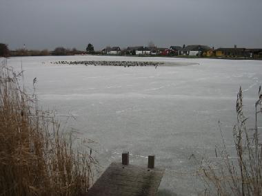 Holiday House in Butjadingen_Eckwarderhrne (Nordsee-Festland / Ostfriesland) or holiday homes and vacation rentals