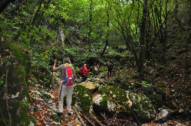 Holiday Apartment in SEFRO (Macerata) or holiday homes and vacation rentals