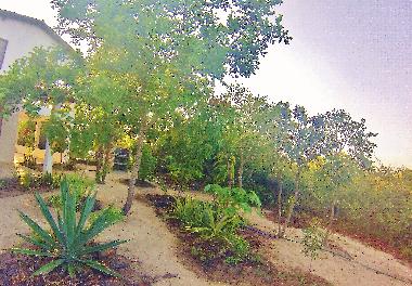 Holiday House in Hidden! (Ceara) or holiday homes and vacation rentals