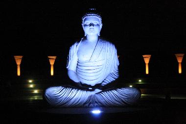 The Garden of Silence - Quieter end of Sukhna Lake