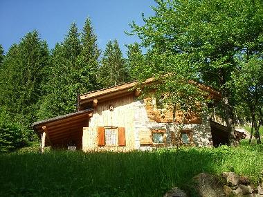 Chalet in Centrale (Trento) or holiday homes and vacation rentals