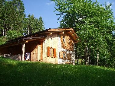 Chalet in Centrale (Trento) or holiday homes and vacation rentals
