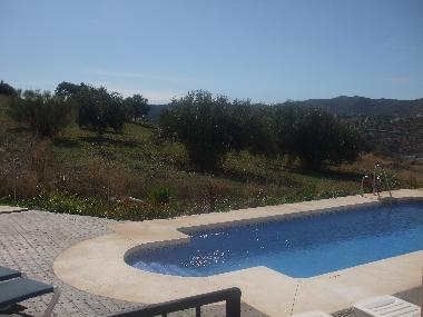 View from the terrace to pool olive groves & mountains.