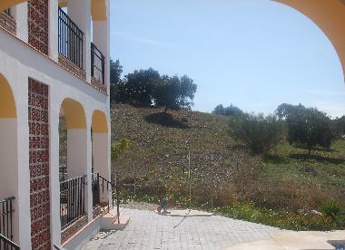 Uninterrupted view to olive grove.