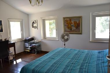 Villa in Monterado (Ancona) or holiday homes and vacation rentals