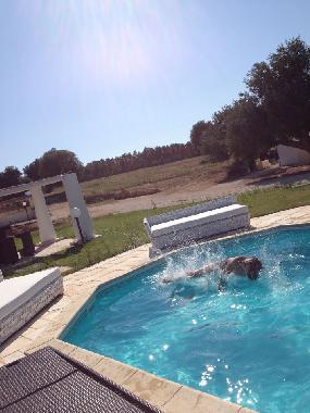 Villa in via per ostuni (Brindisi) or holiday homes and vacation rentals