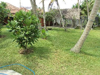 Holiday House in Hikkaduwa (Galle) or holiday homes and vacation rentals